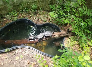 kentucky/natural-bridge-state-resort-park/attraction/kentucky-reptile-zoo