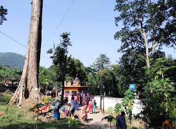 india/odisha/attraction/taptapani-hot-spring