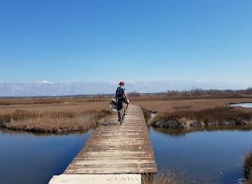 croatia/zadar/attraction/zzuum-active-vacation