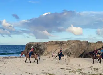 Aruba Horse Tour
