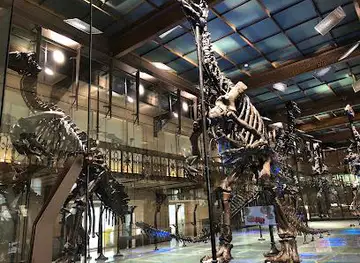 Royal Belgian institute of Natural Sciences