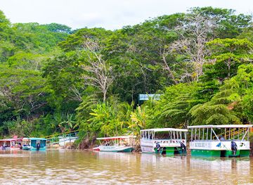costa-rica/southern-zone/attraction/jungle-crocodile-safari-bird-watching-tour