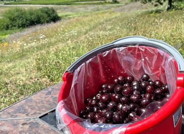 michigan/traverse-city/attraction/blue-water-cherry-mill