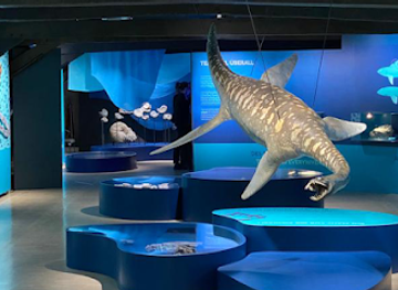 belgium/luxembourg/attraction/luxembourg-national-museum-of-natural-history