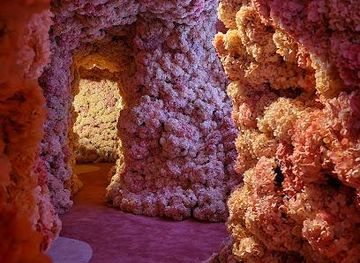 connecticut/greenwich-point-park/attraction/mercer-labs