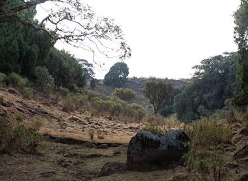 ethiopia/bale-mountains-national-park/attraction/bale-mountains-hq