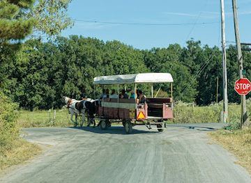 tennessee/highland-rim/attraction/amish-welcome-center-wagon-tours