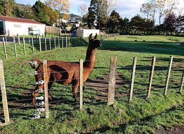 new-zealand/rotorua/attraction/the-farm-tour