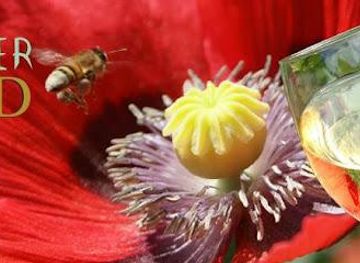 washington/marysville/attraction/sky-river-mead-and-wine