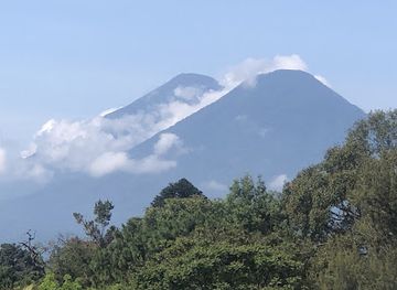 guatemala/lake-atitlan/attraction/bird-art-museum
