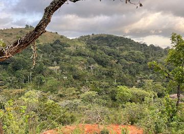 cameroon/south-west-region/attraction/nonena-mountain-ranch