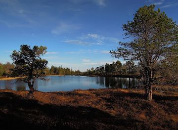 norway/oppdal/attraction/de-dodes-tjern