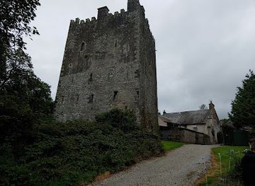 ireland/county-laois/attraction/ballaghmore-castle
