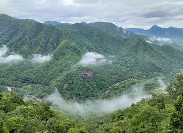 india/east-india/attraction/love-araku
