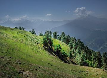pakistan/hindko-region/attraction/sharan-forest