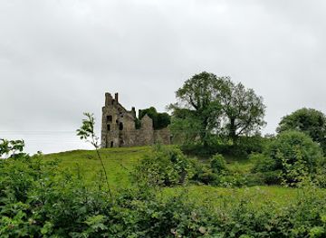 ireland/county-kildare/attraction/carbury-castle-and-motte