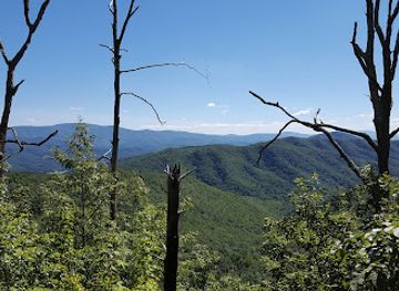 tennessee/appalachian-mountains/attraction/buffalo-mountain-park