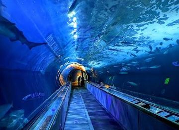 california/daly-city/attraction/aquarium-of-the-bay