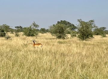 uganda/western-region/attraction/main-gate-uwa-kasenyi-uganda