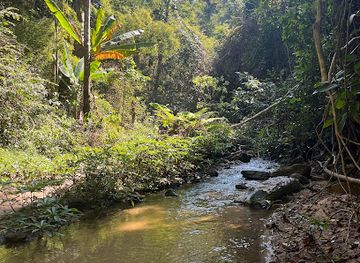 thailand/pai/attraction/startpoint-mae-yen-waterfall