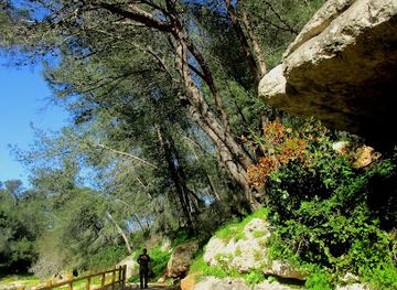 portugal/sintra-cascais-natural-park/attraction/vineyards-trail
