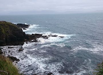 ireland/dingle-peninsula/attraction/dingle-sheepdog-demonstrations