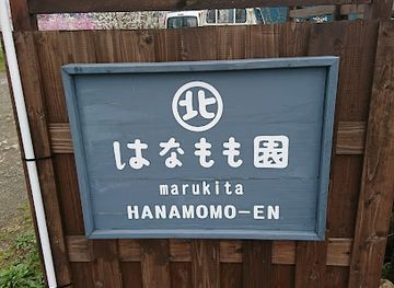 japan/yamanashi/attraction/marukitahanamomoen