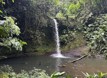 costa-rica/cahuita-national-park/attraction/secret-waterfall