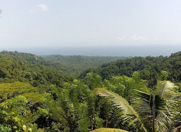 papua-new-guinea/western-province/attraction/pegawi-lookout