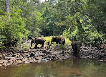 cambodia/mondulkiri/attraction/elephant-valley-project