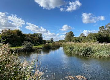 united-kingdom/cambridge/attraction/national-trust-wicken-fen-nature-reserve