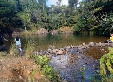 puerto-rico/bayamon/attraction/bosque-estatal-de-carite