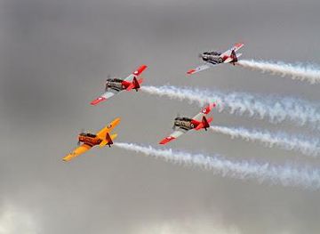 new-zealand/blenheim/attraction/your-local-chauffeur