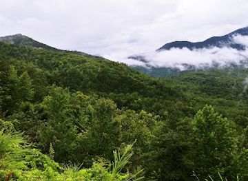 tennessee/appalachian-mountains/attraction/hillbilly-golf