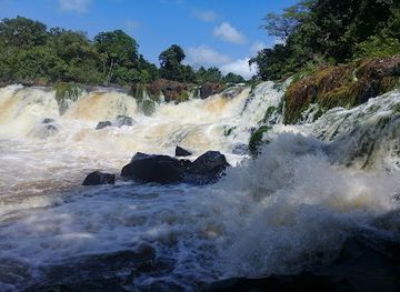 suriname/wia-wia-nature-reserve/attraction/wannawiro-nature-park