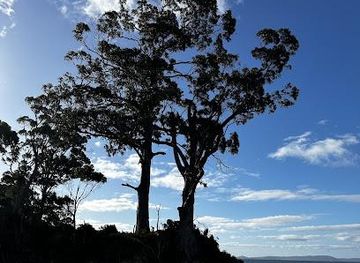 australia/tasman-peninsula/attraction/two-tree-point