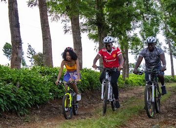 kenya/mount-kenya-region/attraction/mt-kenya-riders-getaway-getaway-places-in-kenya-outside-nairobi