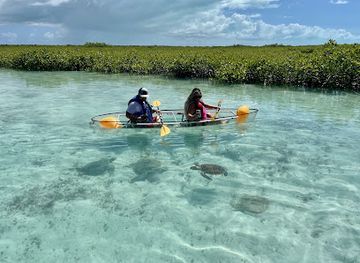 turks-and-caicos-islands/parrot-cay/attraction/rising-tide-tours