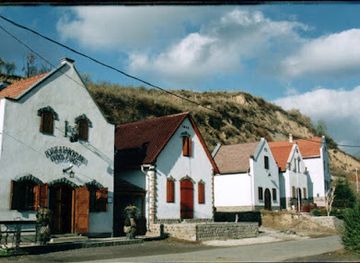 hungary/tokaj-wine-region/attraction/erdos-pinceszet