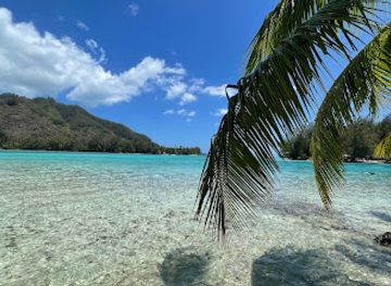 french-polynesia/windward-islands/attraction/plage-des-tipaniers