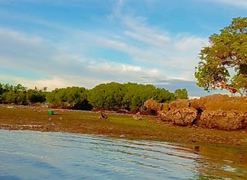 philippines/siquijor/attraction/tumoy-beach