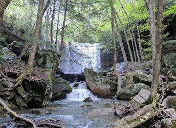 pennsylvania/allegheny-national-forest/attraction/ferncliff-peninsula-natural-area