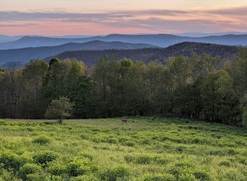 virginia/skyline-drive/attraction/naked-creek-overlook