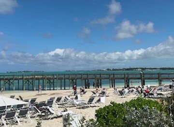 the-bahamas/new-providence/attraction/aviary
