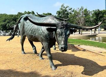 texas/plano/attraction/fun-dallas-tours