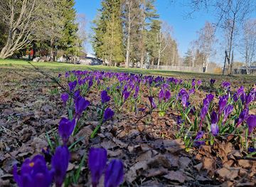 sweden/lulea/attraction/ornasparken-lulea