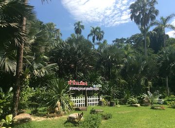 thailand/trang/attraction/southern-botany-and-forestry-development-and-study-center