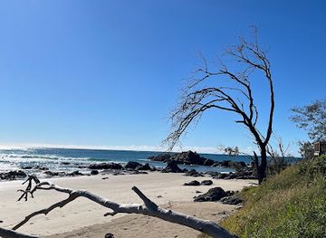 australia/mid-north-coast/attraction/sealife-on-the-guruk-coastline