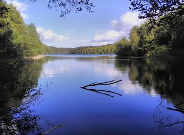 denmark/silkeborg/attraction/kongestolen