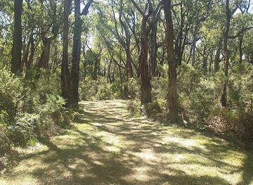 australia/mornington-peninsula/attraction/buckley-nature-conservation-reserve